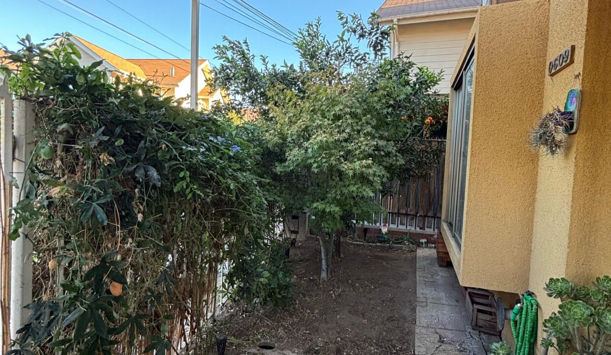 WhatsApp Image 2025-03-19 at 10.04.13