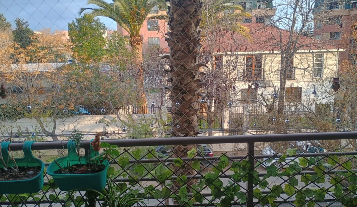 WhatsApp Image 2025-08-18 at 21.07.45