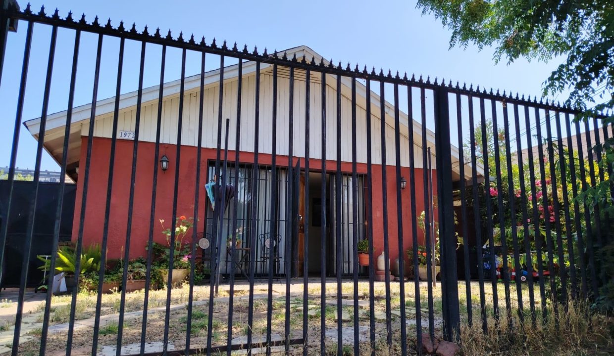 WhatsApp Image 2025-12-13 at 12.43.50 PM (3)