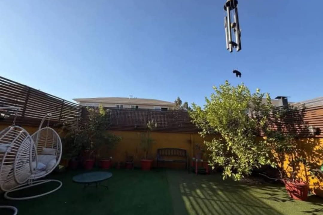 WhatsApp Image 2025-11-29 at 10.06.25 AM (2)