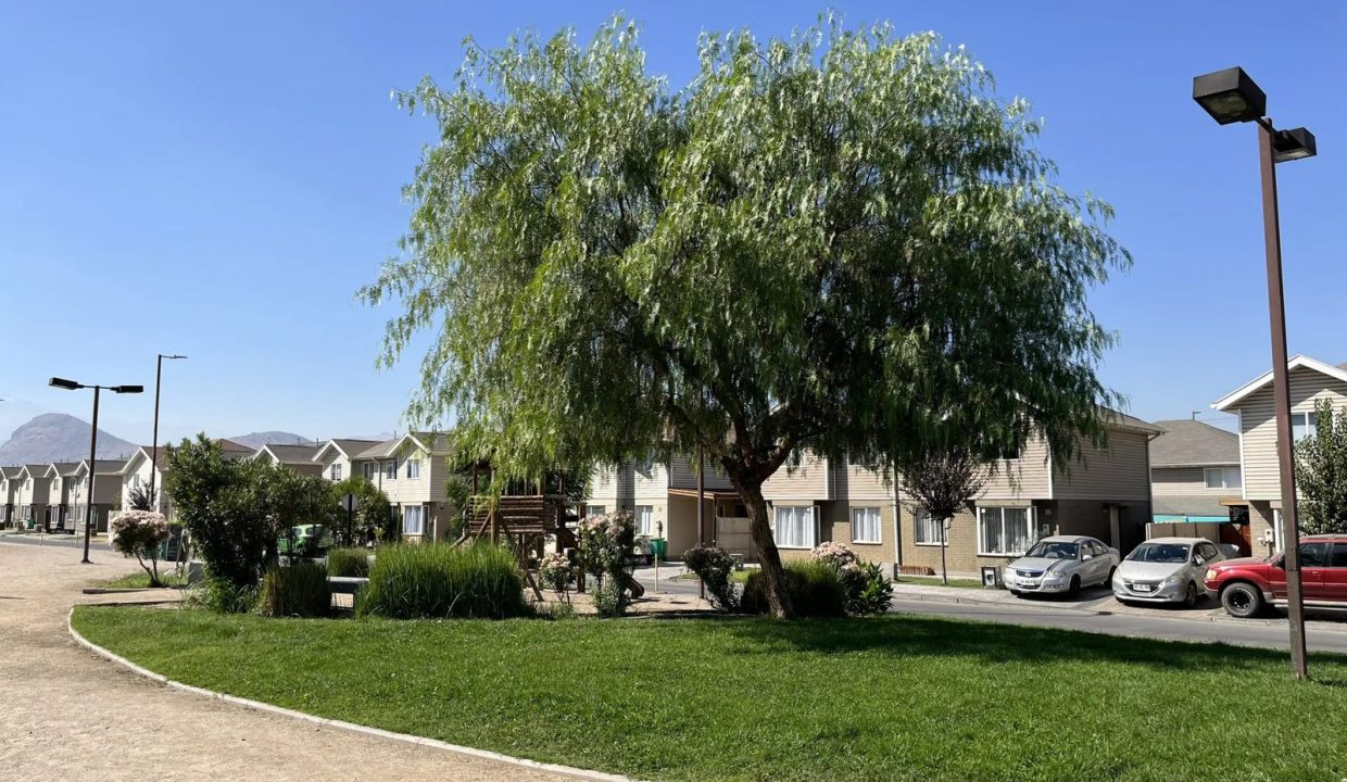 WhatsApp Image 2026-03-03 at 8.06.24 PM