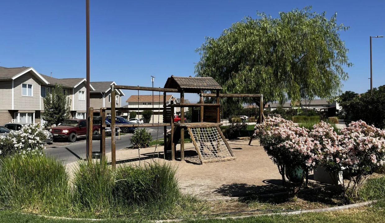 WhatsApp Image 2026-03-03 at 8.06.26 PM