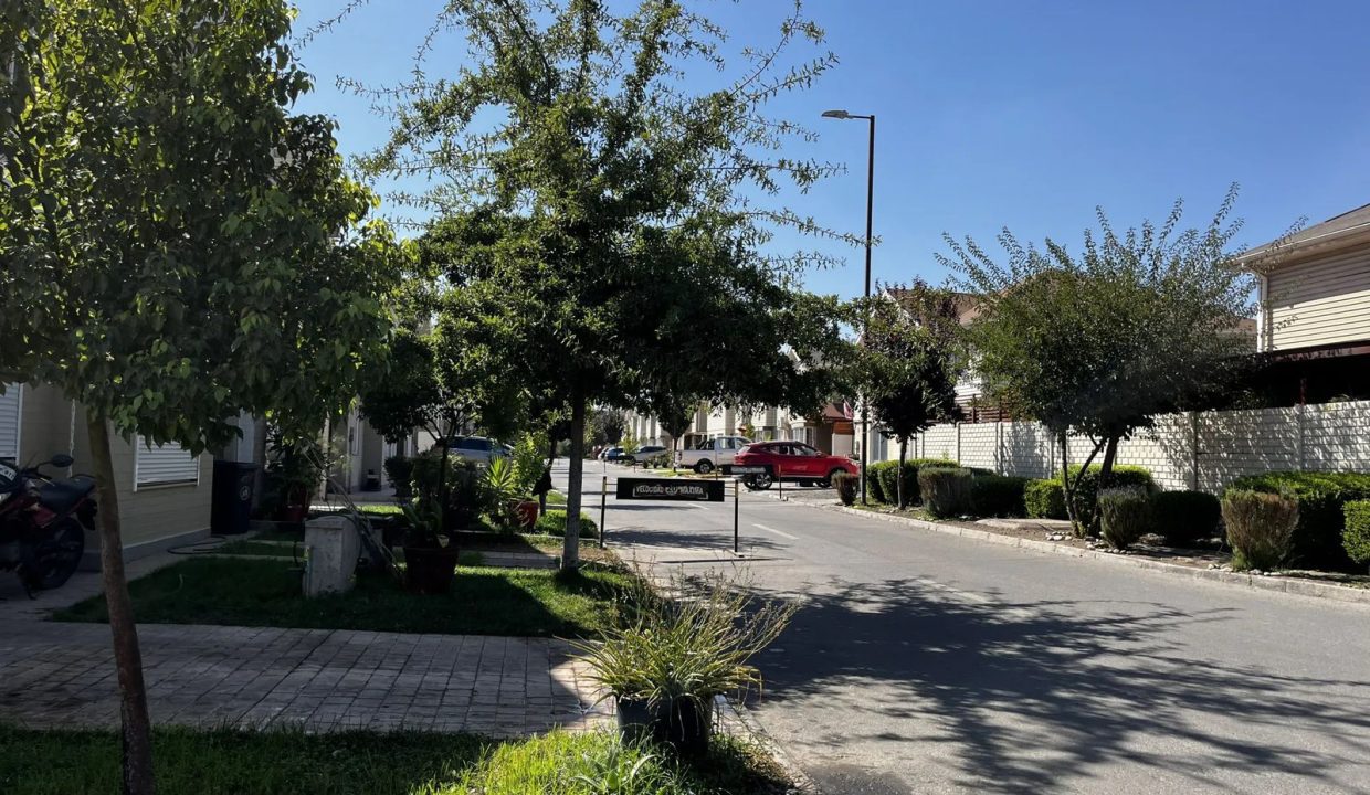 WhatsApp Image 2026-03-03 at 8.06.36 PM