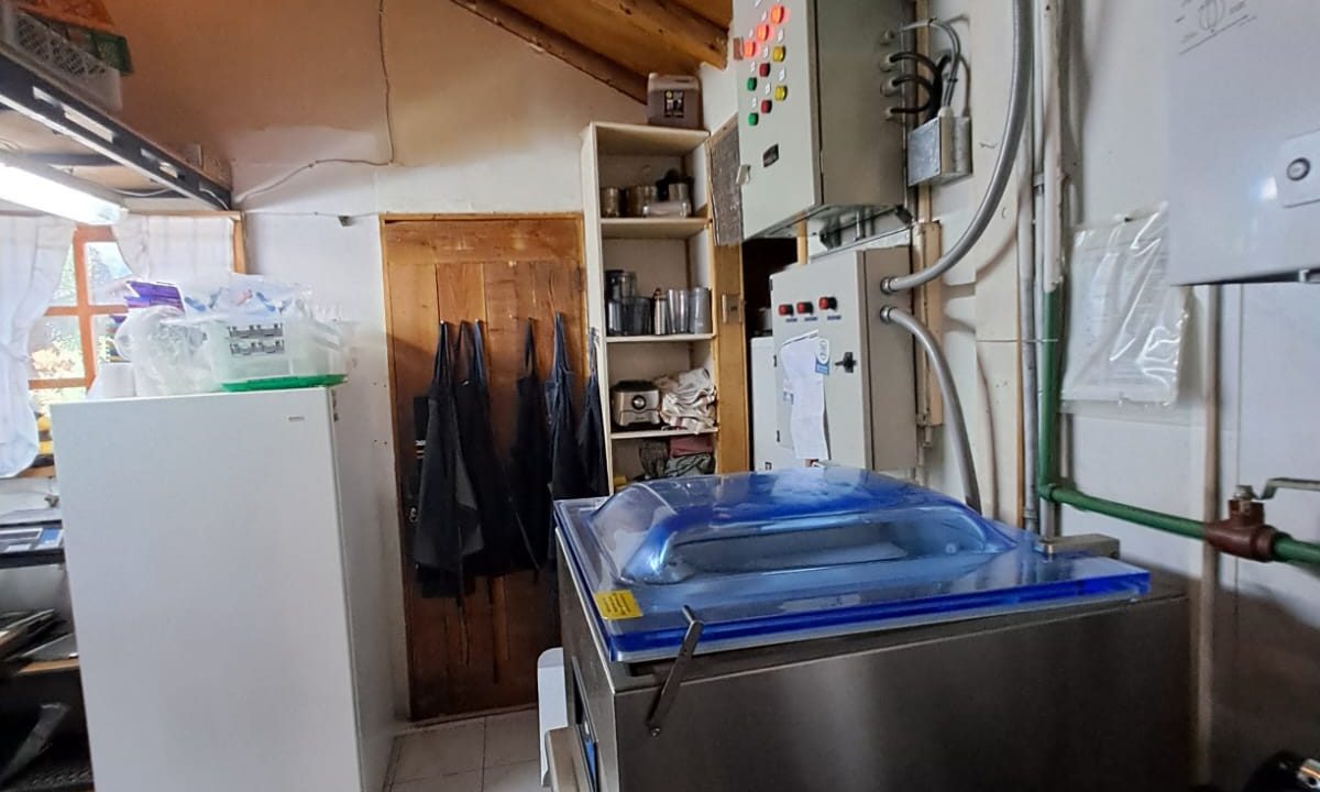 WhatsApp Image 2026-04-23 at 11.57.28 AM (2)